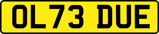 OL73DUE
