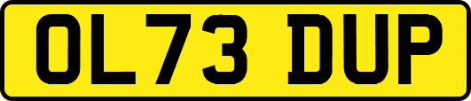 OL73DUP