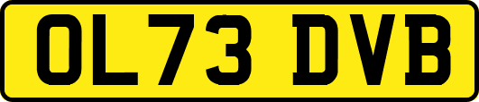 OL73DVB