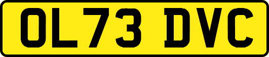 OL73DVC