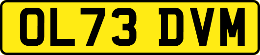 OL73DVM