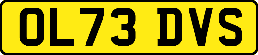 OL73DVS