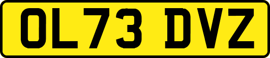OL73DVZ
