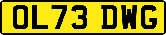 OL73DWG
