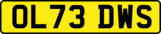 OL73DWS