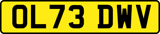 OL73DWV