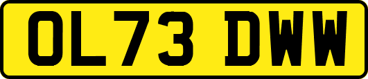 OL73DWW
