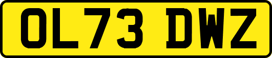 OL73DWZ