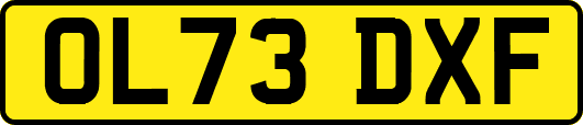 OL73DXF