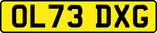 OL73DXG