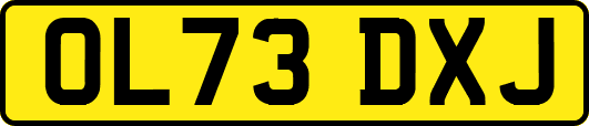 OL73DXJ
