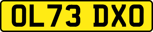 OL73DXO