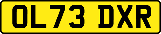 OL73DXR