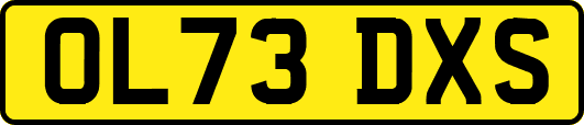 OL73DXS