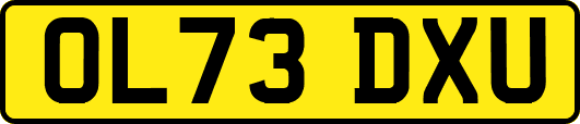 OL73DXU