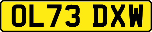 OL73DXW