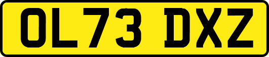 OL73DXZ