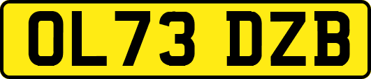 OL73DZB