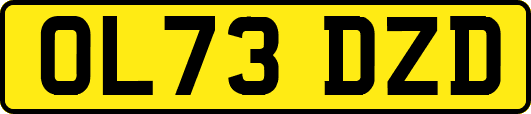 OL73DZD