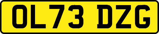 OL73DZG