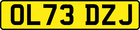OL73DZJ
