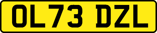 OL73DZL