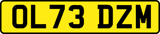 OL73DZM