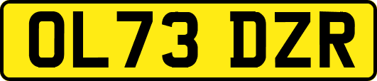 OL73DZR