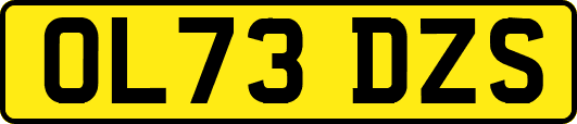 OL73DZS