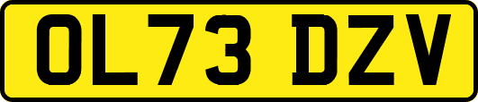 OL73DZV