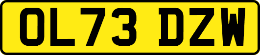 OL73DZW