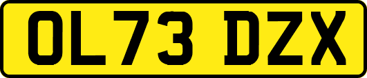 OL73DZX