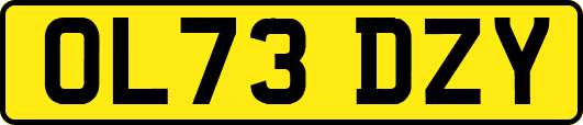 OL73DZY