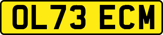 OL73ECM