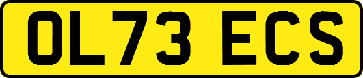OL73ECS