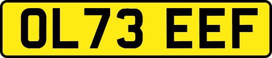 OL73EEF