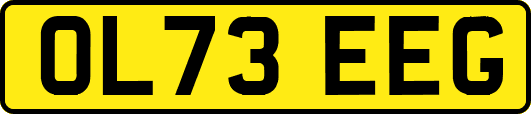 OL73EEG