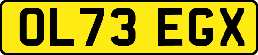OL73EGX