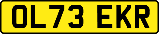 OL73EKR