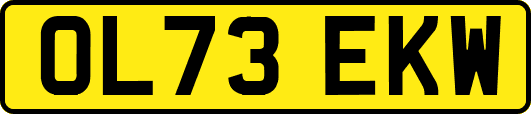 OL73EKW
