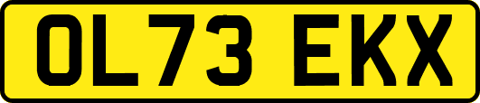 OL73EKX