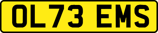 OL73EMS