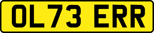 OL73ERR