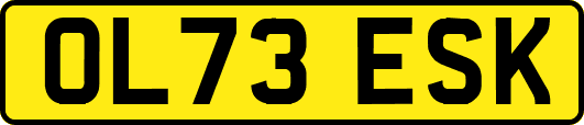 OL73ESK