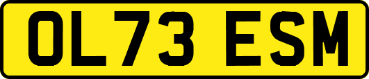 OL73ESM