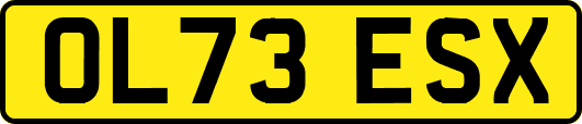 OL73ESX