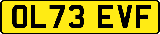 OL73EVF
