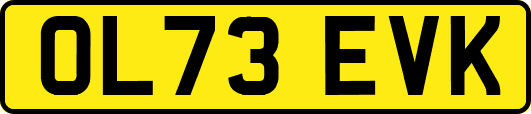 OL73EVK