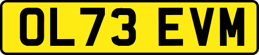 OL73EVM