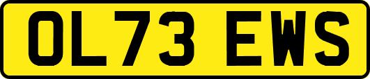 OL73EWS